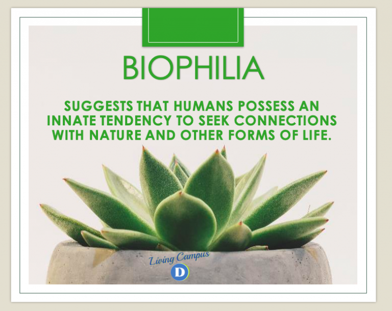 Biophilia – Sustainable